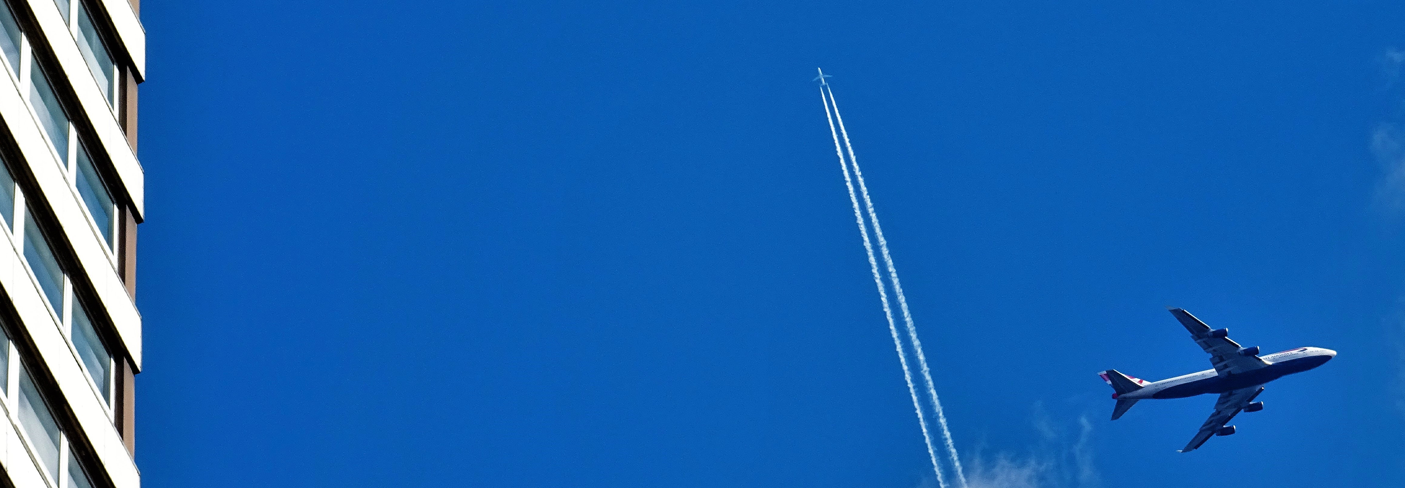 專注于客戶的精致顯示及IT方案需求